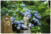 20180707_西輪寺太子堂.jpg