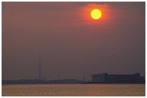 20180714_夕日.jpg