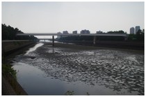 20180714_花見川.jpg