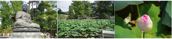 20180716_中山法華経寺.jpg