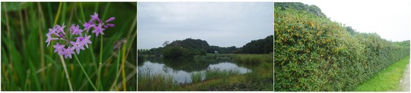 20180929_21世紀の森と広場.jpg