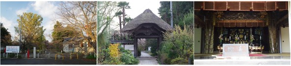 20181103_国分寺.jpg