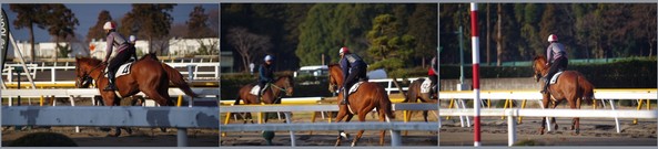 20190113_競馬学校.jpg
