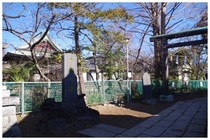 20190114_手児奈の霊堂.jpg