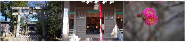 20190114_白幡天神.jpg