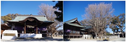 20190114_葛飾八幡神社.jpg