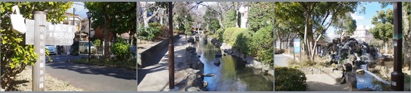 20190126_小松川親水緑道.jpg
