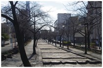 20190126_山谷堀公園.jpg