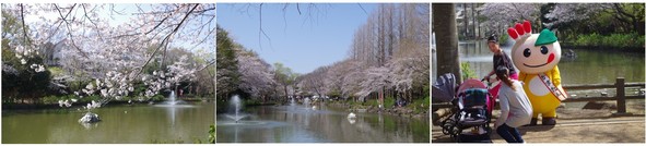 20190406_貝柄山公園.jpg
