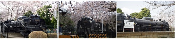 20190407_柏西口第一公園.jpg