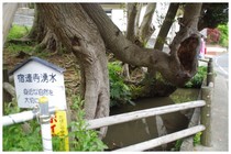 20190429_宿連寺の湧水.jpg