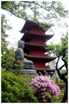 20190502_中山法華経寺1.jpg