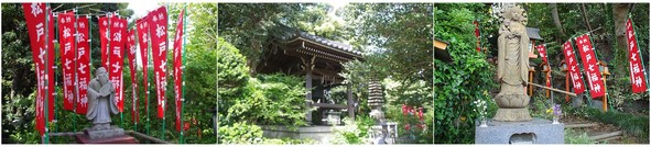 20190503_八柱徳蔵院.jpg