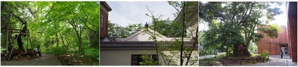 20190503_東京藝大.jpg