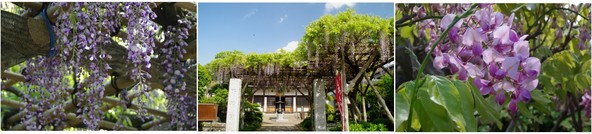 20190504_佛法寺.jpg