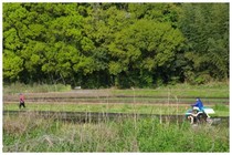 20190504_田植え始まる.jpg