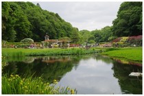 20190519_大町公園のバラ園.jpg