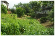 20190811_落合川源流付近.JPG
