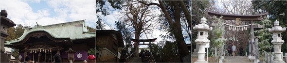 20200104_二宮神社.jpg