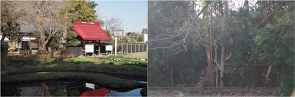 20200113_結縁寺.jpg