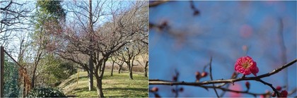 20200119_小室公園.jpg