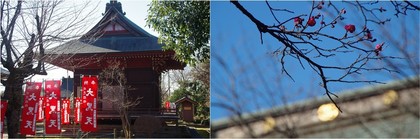 20200119_延命寺.jpg