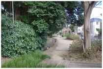 20200208_東中沢ふれあい緑道.JPG