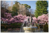 20200224_里見公園.JPG