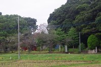 20200927_持法院.JPG