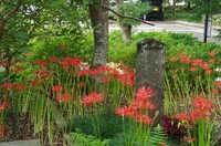 20200927_観音寺.JPG