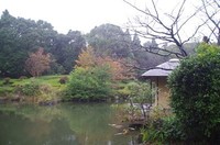 20201023_日本庭園.JPG