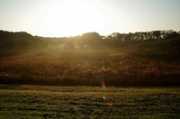 20201117_.JPG
