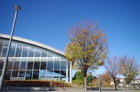 20201121_リフレッシュプラザ柏.JPG