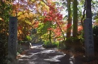 20201121_観音寺.JPG