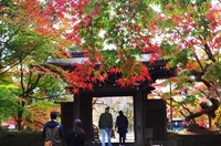20201123_東漸寺中雀門.JPG