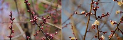20210220_手通公園.jpg