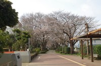 20210319_遊歩道.JPG