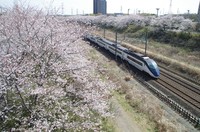 20210327_歩道橋の上から1.JPG