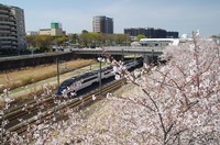 20210327_歩道橋の上から2.JPG