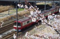 20210327_歩道橋の上から3.JPG