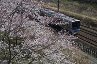 20210327_歩道橋の上から4.JPG