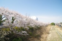 20210327_R464橋から1.JPG
