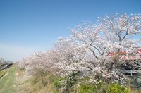 20210327_R464橋から2.JPG