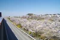 20210327_R464駅西1.JPG