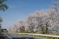 20210327_R464_南山1.JPG