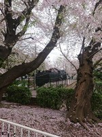 20210330_SL1.JPG