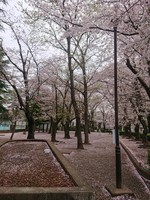 20210330_SL2.JPG