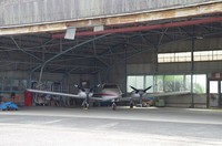 20210501_飛行機1.JPG