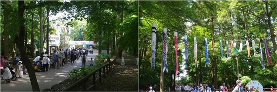 20210504_市川動植物園入り口.jpg