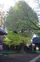 20211120_冨塚の西輪寺.JPG